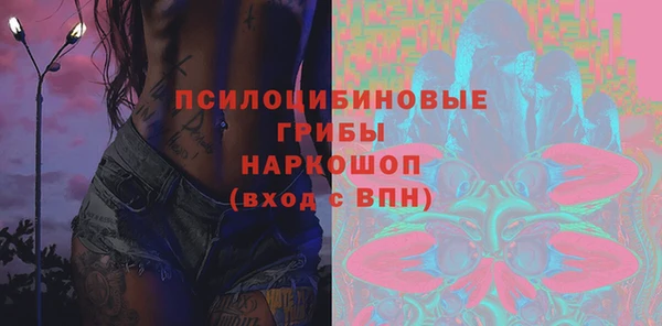 скорость Новозыбков