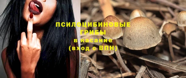 PSILOCYBIN Новодвинск