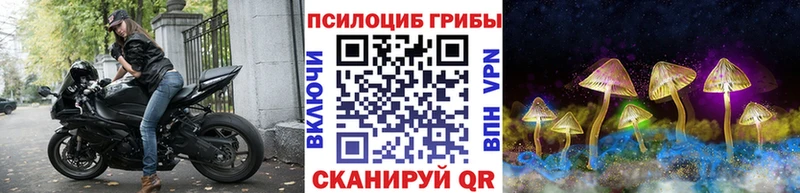 Псилоцибиновые грибы мицелий  купить закладку  Анапа 